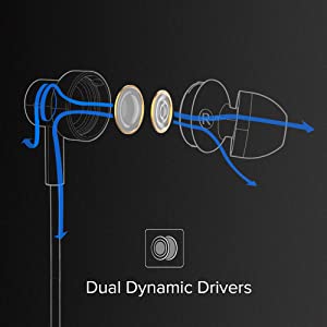 Dual driver