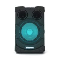 Philips TAX4205 Home Audio Portable Bluetooth Party Speaker, Karaoke with Dual mic Input