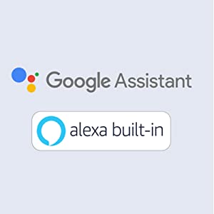 Alexa and Google Assistant 