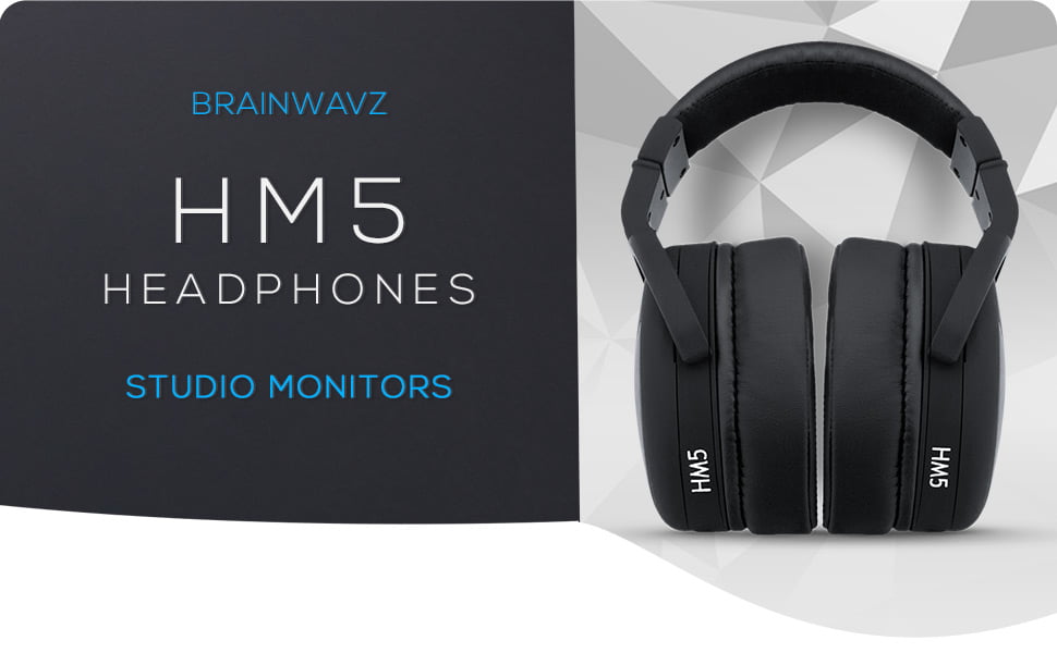 Brainwavz HM5 studio Monitor Headphones